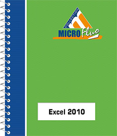 Excel 2010