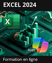 Formation en ligne Excel 2024 (et Microsoft 365) - Toutes les fonctionnalités d'Excel à votre portée + le livre en ligne Excel (versions 2024 et Microsoft 365) OFFERT - Valable 1 an, en illimité