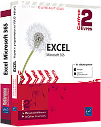 Excel Microsoft 365 - Coffret de 2 livres : Le Manuel de référence + le Cahier d