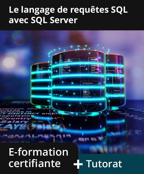 Le langage de requêtes SQL avec SQL Server - E-formation certifiante avec accompagnement