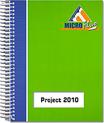 Project 2010